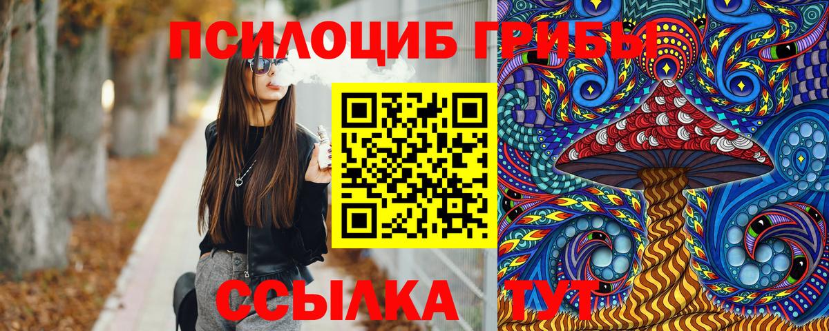 Мурманск  Галлюциногенные грибы Psilocybine cubensis  Вход с VPN 